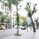 소울민박 | 스페인/포르투갈 여행 #50. 바르셀로나 한인민박 소울메이트 후기