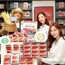 ㈜레이델코리아 이미지