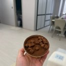 지에스(GS)25 광진구의점 | SNS에서 난리난 GS25 신상 아이스 생초콜릿 초코맛 가격·칼로리·맛 후기 총정리