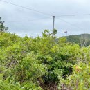 옥원2리마을회관 이미지