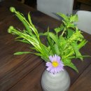 가좌농장 이미지