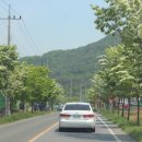 단장면보건지소 이미지