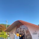 A7 | [글램 포레스트 대부도] 서울 근교 대부도 글램핑 (A7 후기)/내돈내산