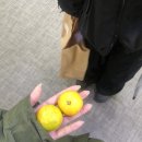 수안체육관 이미지