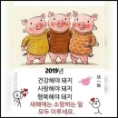 충주이편한세상아파트 이미지