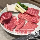 평택서비스기아오토큐(주) | 평택 소사벌 고기집 육화미, 가족외식 회식 재방문하는 이유