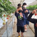 벌교읍행정복지센터 이미지