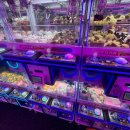 모모스테이션 이미지