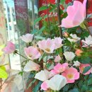 땅스부대찌개 비래점 이미지