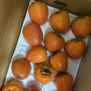 [리뷰] 희망드림판매전 후기왕 농사랑상품권 5만원 사용후기(대봉감10kg)