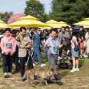 강원도동물위생시험소 이미지