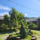 춘천산닭 산속에닭갈비 이미지