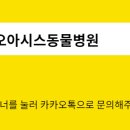 오아시스 정형외과 신경외과 동물병원 네이버블로그