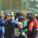 신능초등학교 이미지