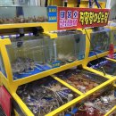 속초 맛집 추천 (태웅수산) 대포항 맛집, 합리적인 가격에 친절한 서비스까지? 속초 베스트 맛집 추천...
