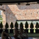 고운동_고운동(마음안로)2 이미지