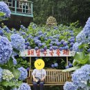 (주)가온리조트 | 가족여행 해남 포레스트 수목원 진도 쏠비치 셰프스키친 운림산방 신비의 바닷길 가온 전복 작은 갤러리