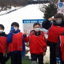 경희대 창덕 태권도 이미지