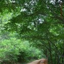 송촌119안전센터 이미지