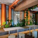 벚나무길 이미지