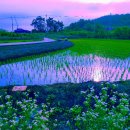 삼주1공인중개사사무소 이미지