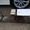 신퍼피클럽 동물병원 이미지