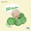 은행마을로21번길 | 12월 2주차 일상