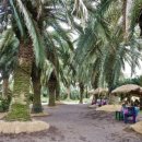 용석농장 이미지