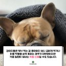 가평동물병원 이미지