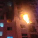 강서구-70 이미지