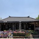 경주여행 황리단길 맛집 황남두꺼비 항아리 60일 숙성 묵은지 등갈비찜 크림막걸리 솔직후기