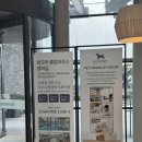 디자인신화 | 제주 서귀포 숙소 추천｜서머셋 제주신화월드 솔직 후기 (가족여행 최적 리조트)