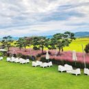 161스튜디오 이미지