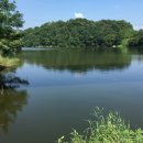 환희1리 이미지