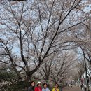 까치울역(7호선)(시비설치) | 부천 원미산 진달래 동산 봄나들이