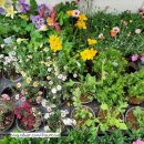 매화정원어린이집 이미지