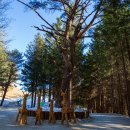 유계농장 이미지