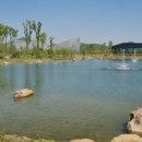 연기면_호수공원중앙수목원로 이미지