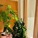 상남동279 이미지