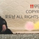 지에스25 세종로점 이미지