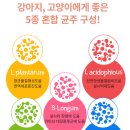 트러스트엄