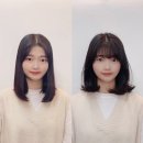 뷰테아
