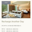 로니의 기차 | [리뷰] 정선 웰니스 호텔 <파크로쉬> 친구와 함께 2박 머물기 PART.1