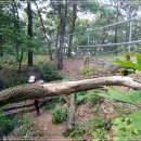 내곡동446 이미지