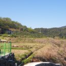 지리산황금농장 이미지