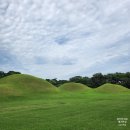 오릉 북쪽 화장실 | 경주 오릉(五陵) 이용 꿀팁 총정리! 주차, 입장료 정보에 솔직 후기까지