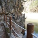 왕피천 은어길 이미지