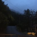 노팅힐펜션패밀리 | 가평 &lt;노팅힐 펜션&gt; 시원한 계곡 있는 애견동반 가능 숙소 추천