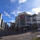 성연파란약국 이미지