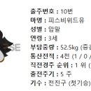 피스비위드유